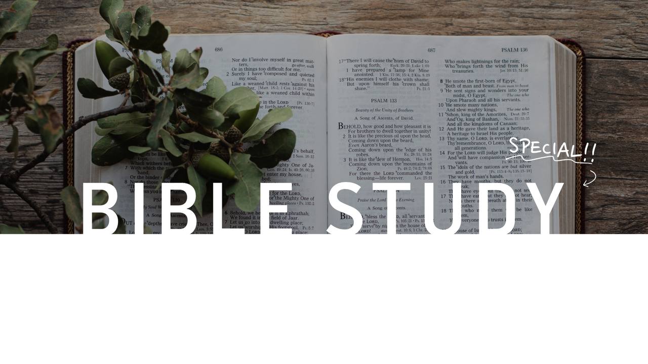 How to Bible Study